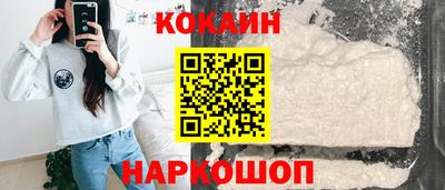 индика Кингисепп