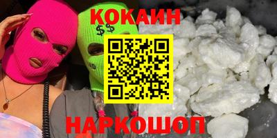 индика Кингисепп