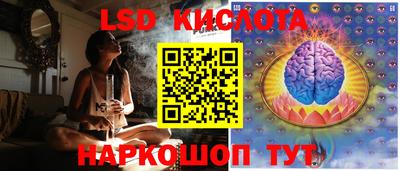 индика Кингисепп