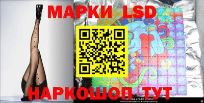 индика Кингисепп