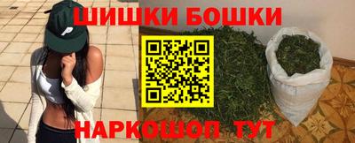 индика Кингисепп