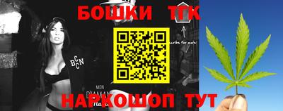 индика Кингисепп