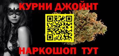 индика Кингисепп