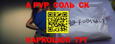 индика Кингисепп