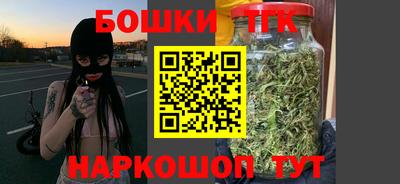 индика Кингисепп