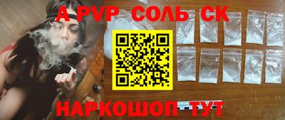 индика Кингисепп