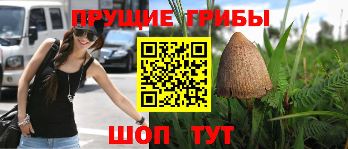 Галлюциногенные грибы Psilocybine cubensis  Вход с VPN  Заречный 